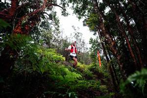 BIB: 
                            <button type="button" onclick="openModal(26201084)" class="btn btn-primary btn-sm float-right btn-popup" data-toggle="modal" data-target=".modal-high-quality">
                        <i class="fas fa-shopping-cart"></i> Add to Cart
                    </button>
                                            <button type="button" onclick="isThisMe(26201084, true)" class="btn btn-success btn-sm float-right btn-popup btn-isme hidden" data-toggle="tooltip" data-placement="bottom" title="นี่คือรูปของคุณใช่ไหม คลิกที่นี่เพื่อเอาเข้าอัลบั้ม">
                        <i class="fas fa-plus"></i> Add to album
                    </button>
                    <button type="button" onclick="isThisMe(26201084, false)" class="btn btn-warning btn-sm float-right btn-popup btn-isnotme hidden">
                        <i class="fas fa-ban"></i> Remove from album
                    </button>